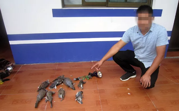 还敢用弹弓打鸟这两个人在天长被抓了