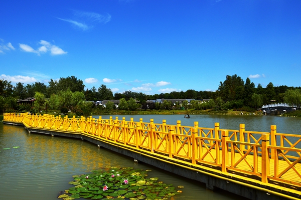 美丽天长我的家旅游摄影大赛入围作品公示社会面貌