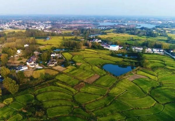 相约安徽·向春而行 | 金集镇井亭村-天长网